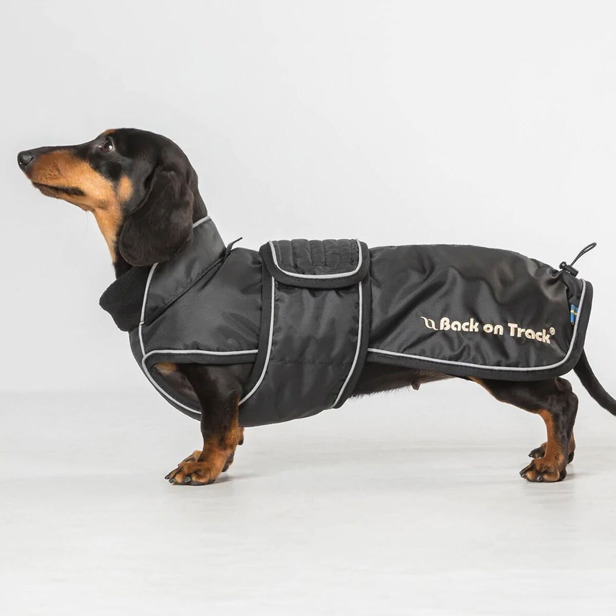 Back On Track Buddy Long Dog Coat, black