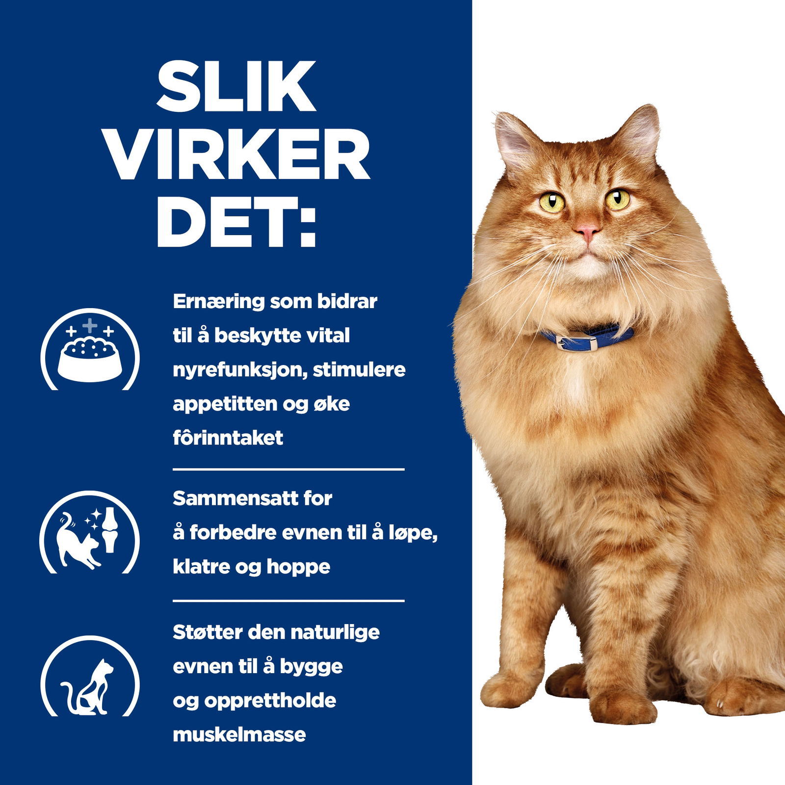 Hills Diet Cat k/d + Mobility Portionspåse 12x85g