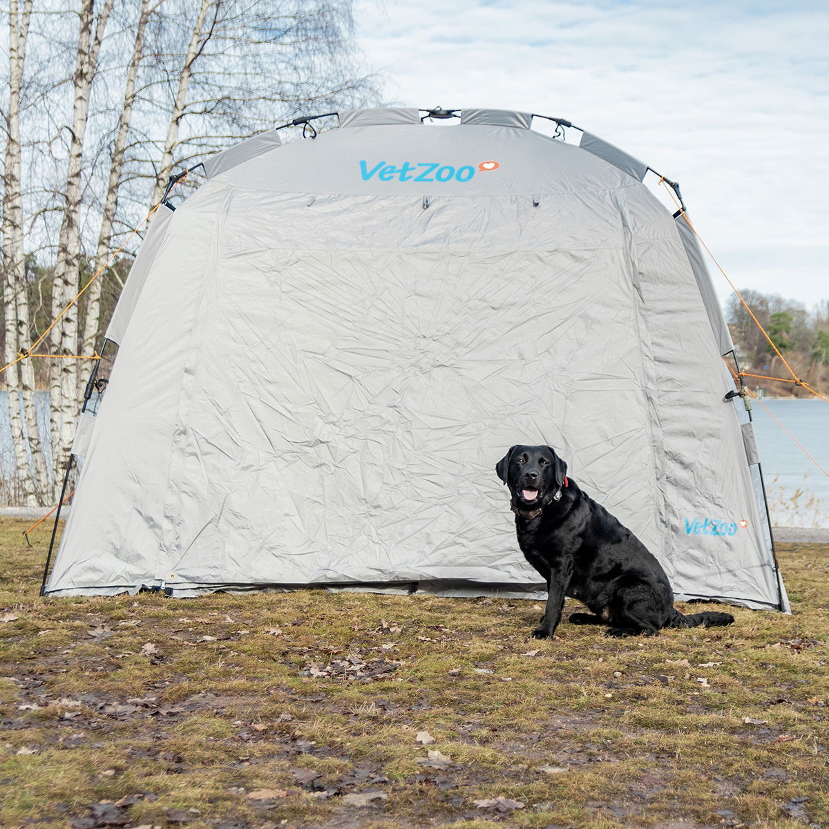 ELPASO tent - VetZoo grey