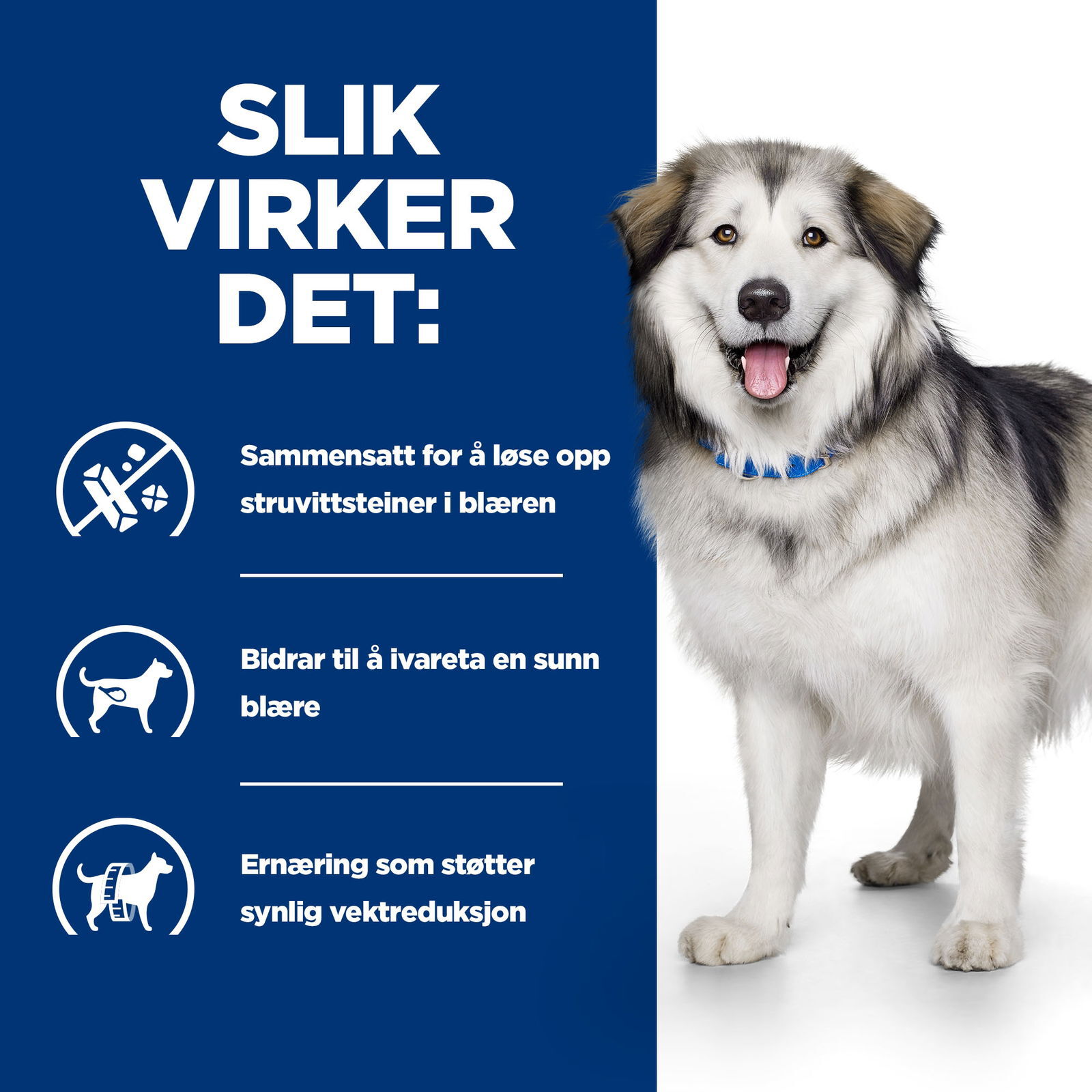 Hill's PRESCRIPTION DIET c/d Multicare + Metabolic Dog Food