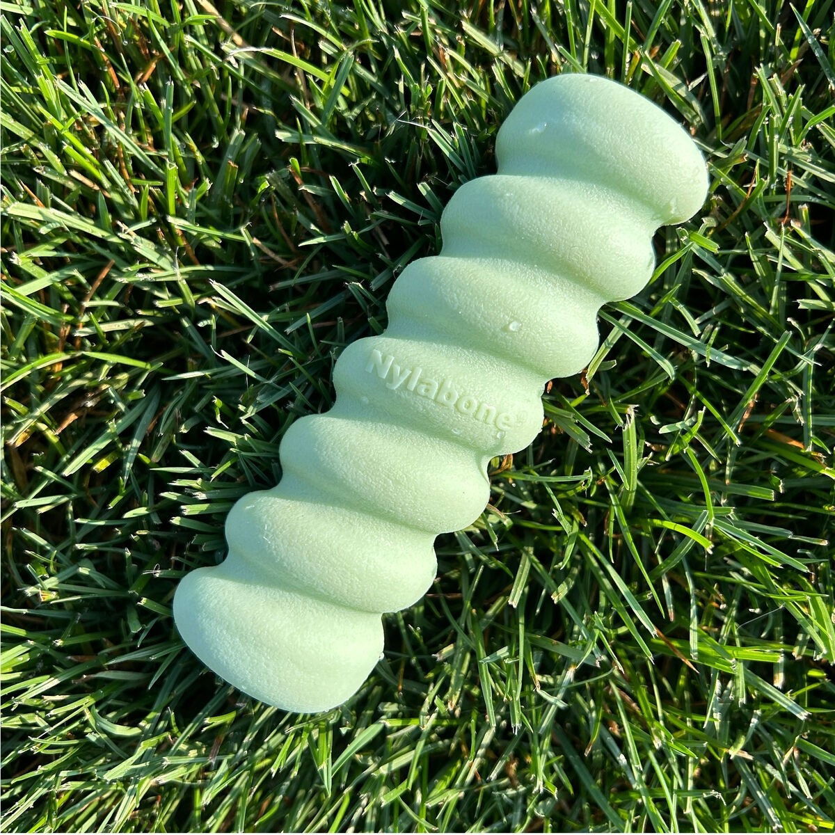 Nylabone Puppy Tactile stick peanut butter S