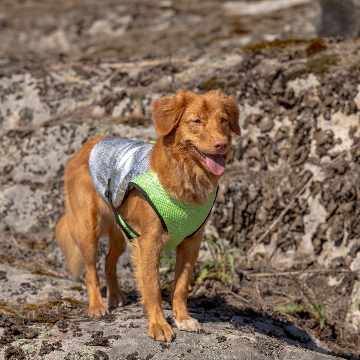 Feel Active Cooling XTR vest apple green