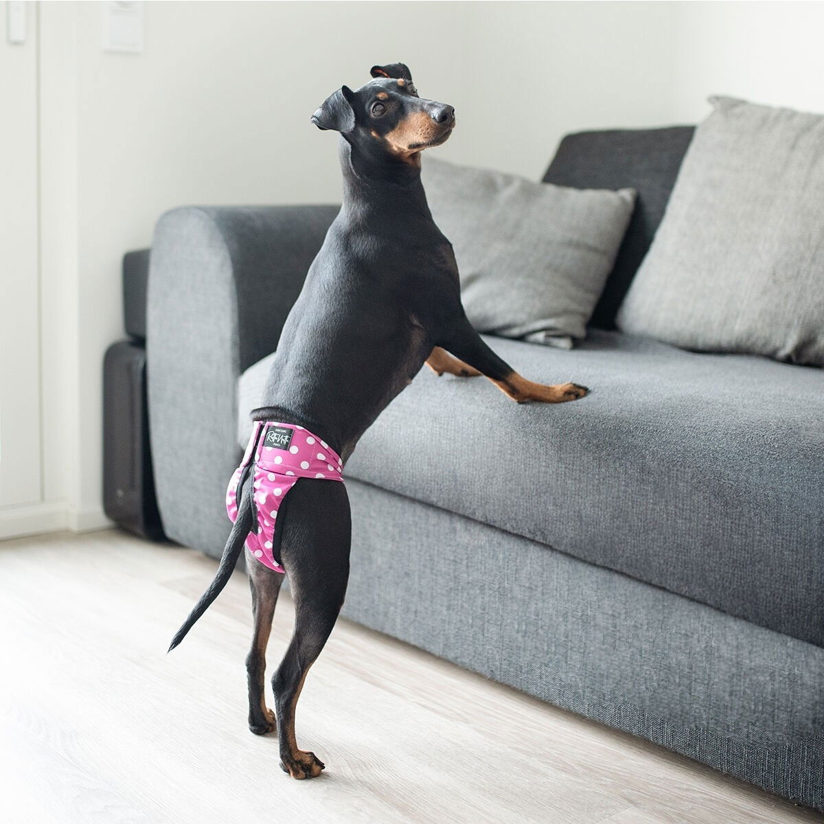 RuttuNuttu heat pants polkadot, pink