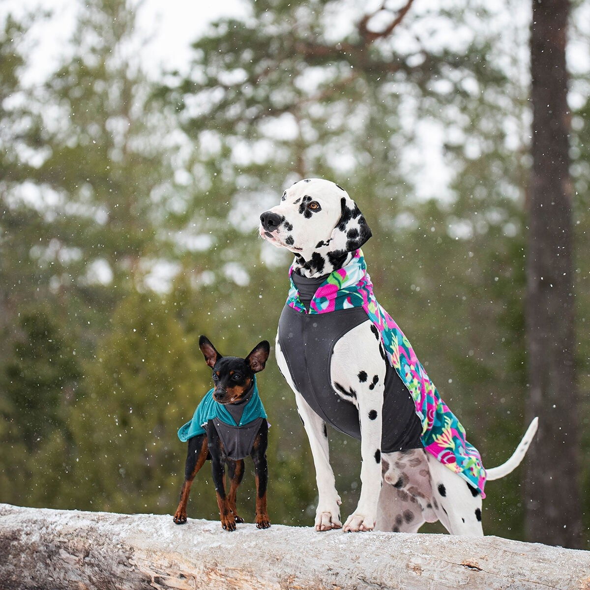 JumppaPomppa Trail