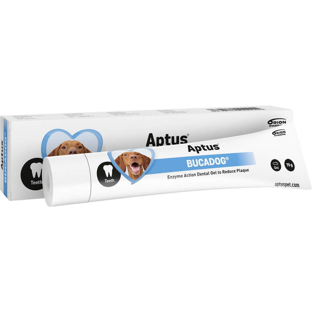 Aptus Buca Toothpaste
