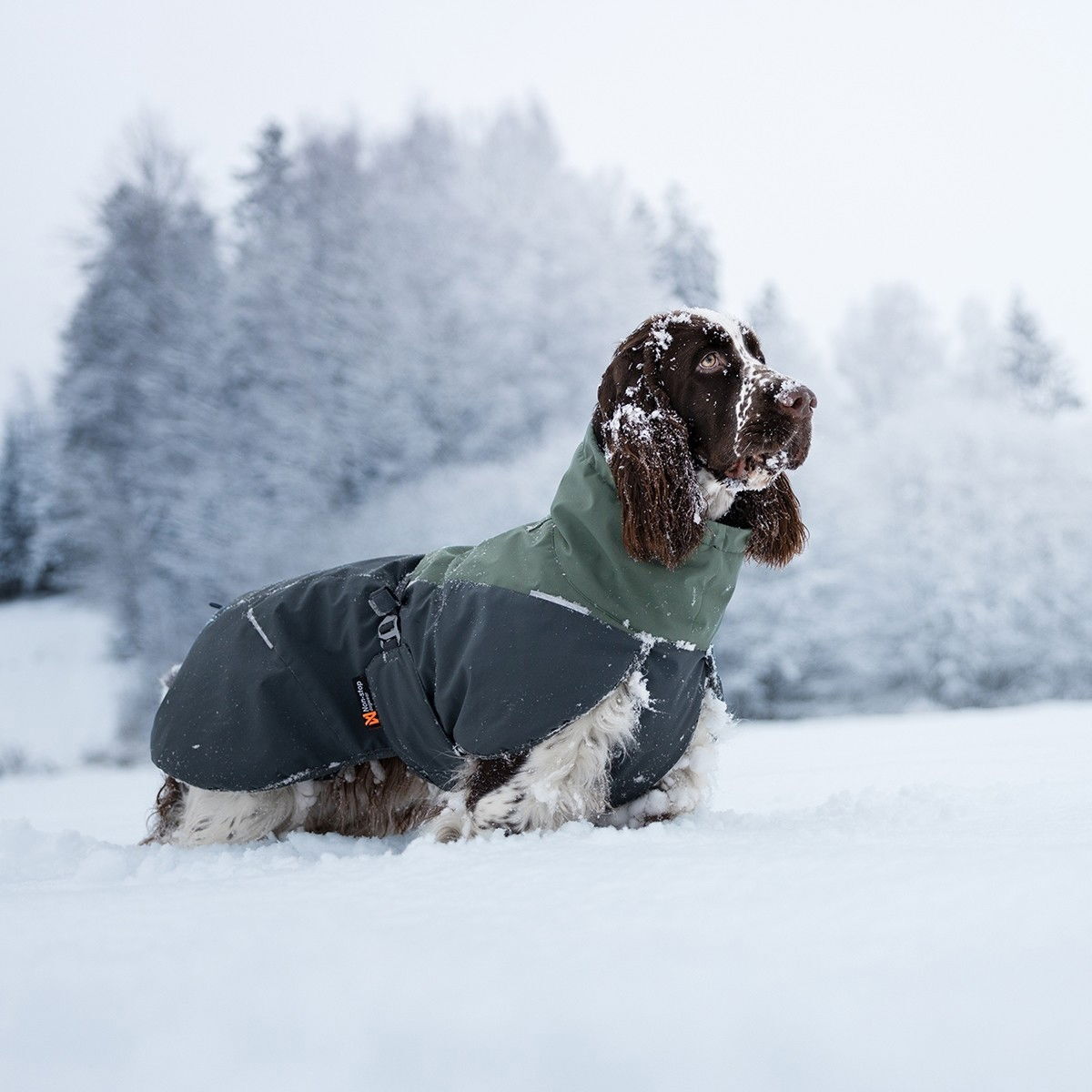 Non-Stop Glacier wool jacket 2.0, green/grey