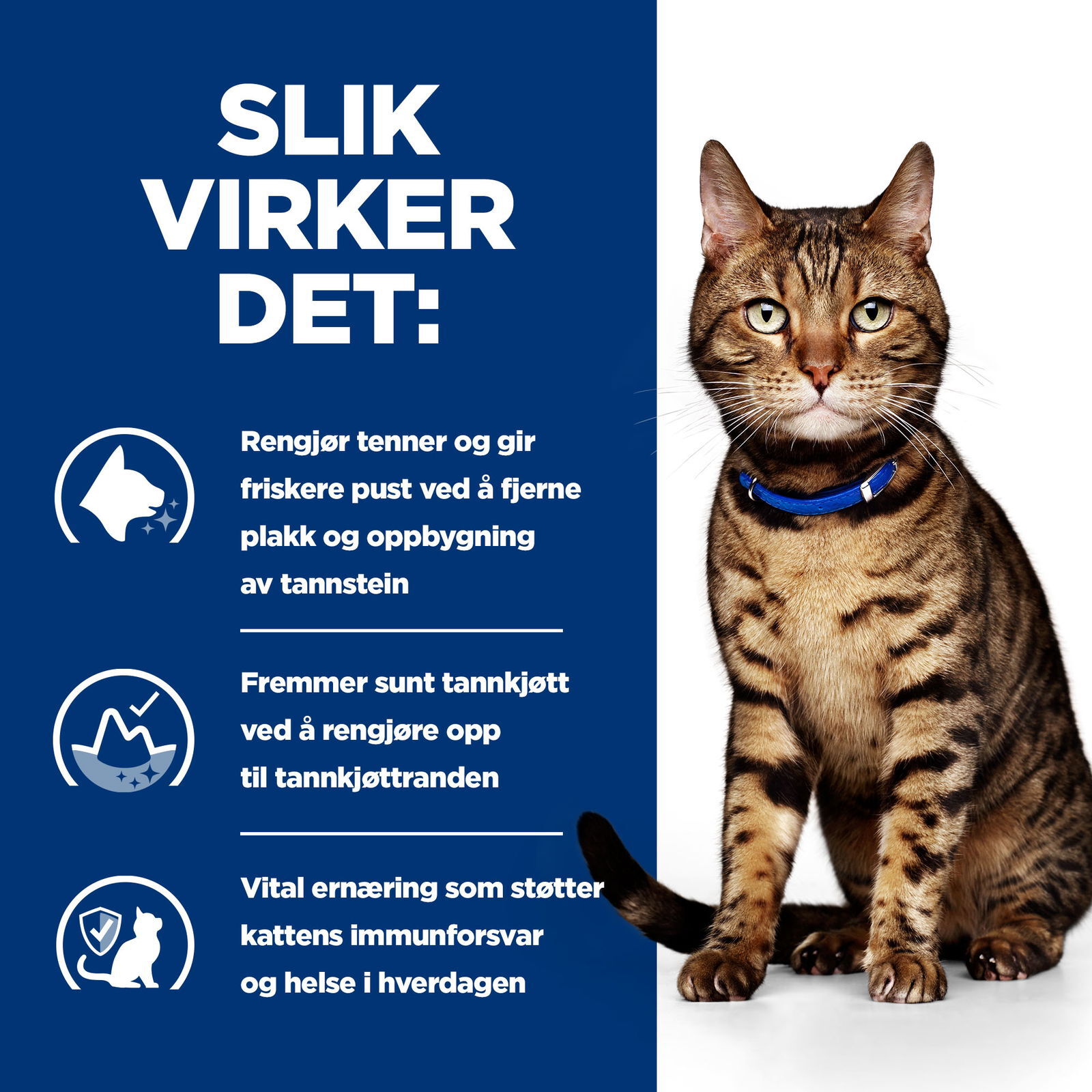 Hills Diet Cat t/d 1,5kg