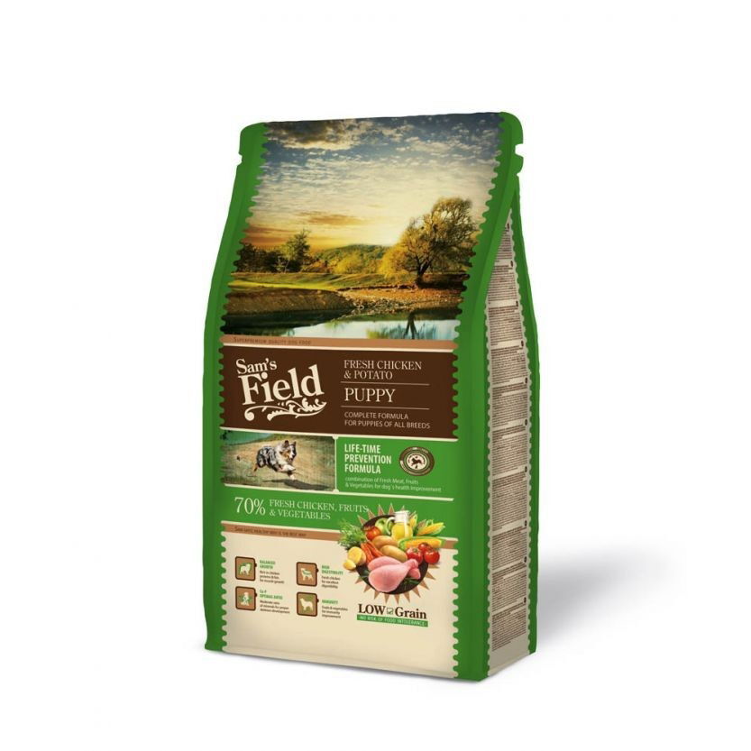 Sam´s Field Puppy