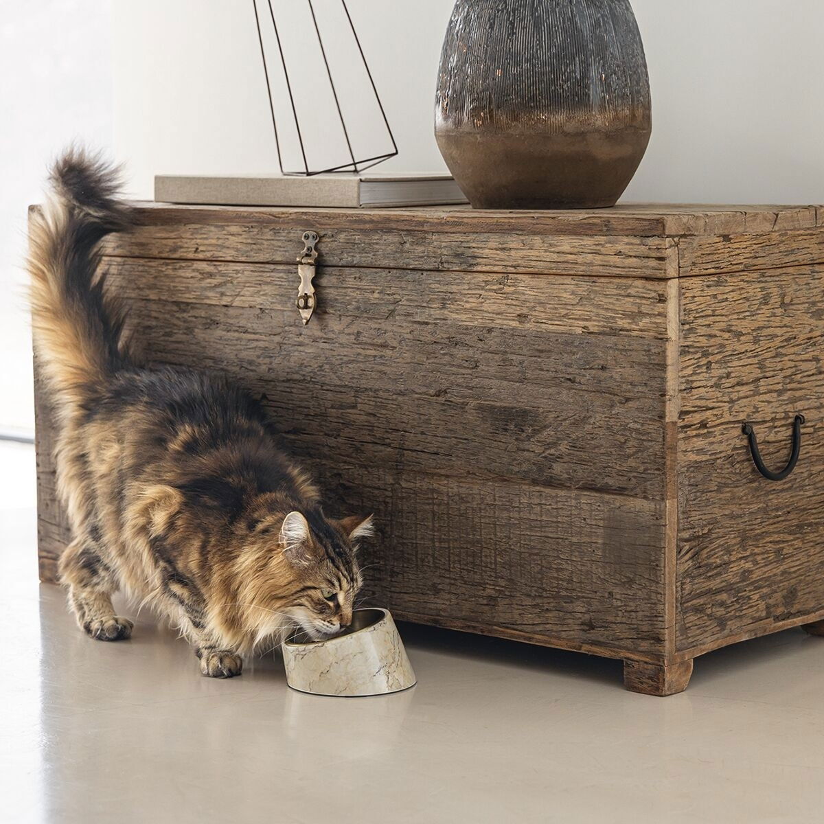 Designed by Lotte cat bowl Vita 160ml