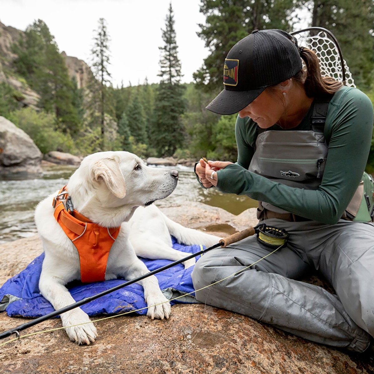Ruffwear Front Range harness, Blaze Orange