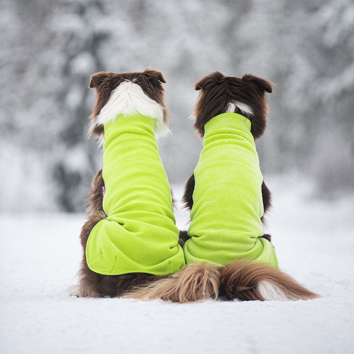 Jumppa Pomppa, Lime