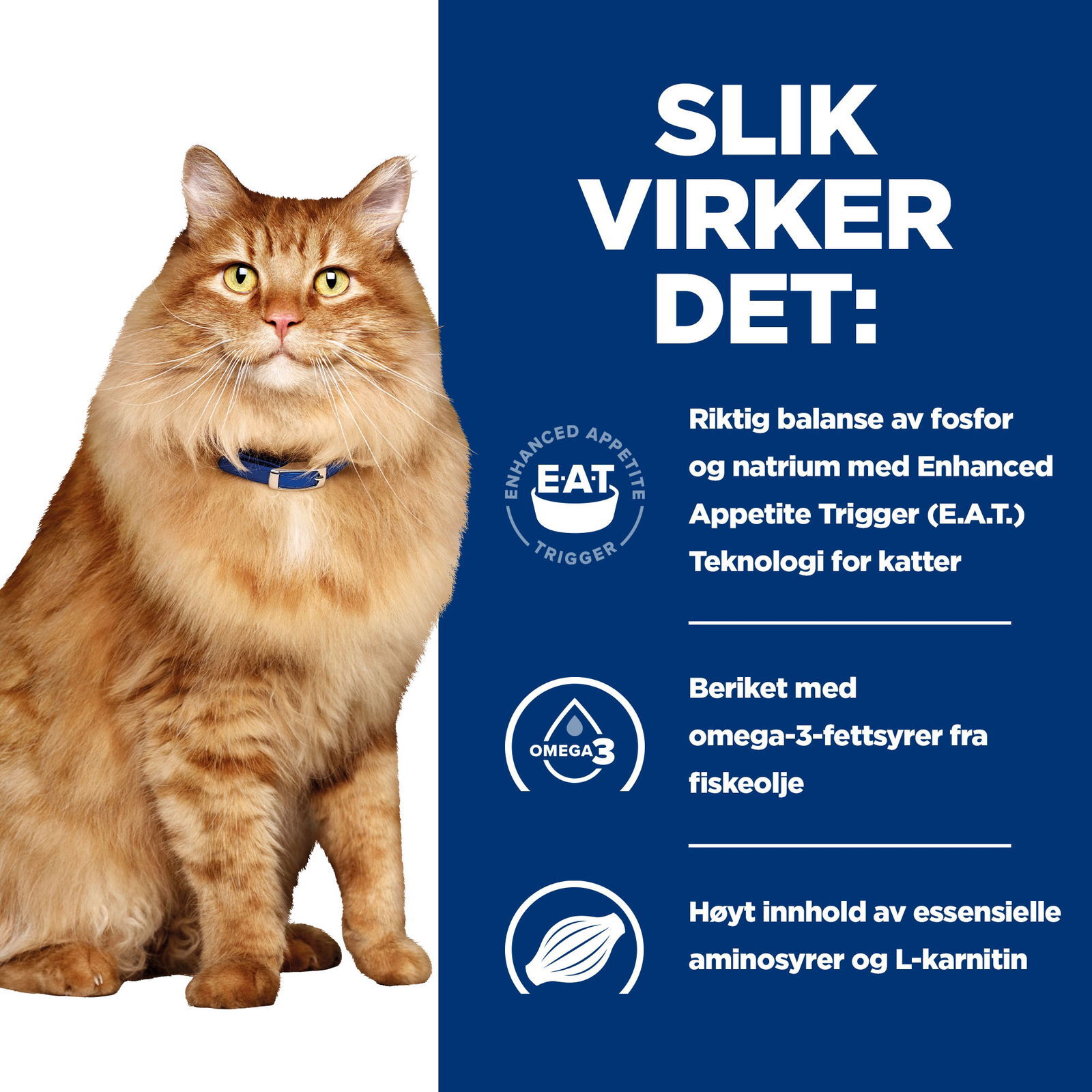 Hills Diet Cat k/d + Mobility Portionspåse 12x85g