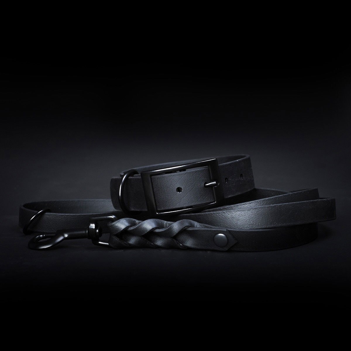 Tyylivoitto Braid leash, Black on Black