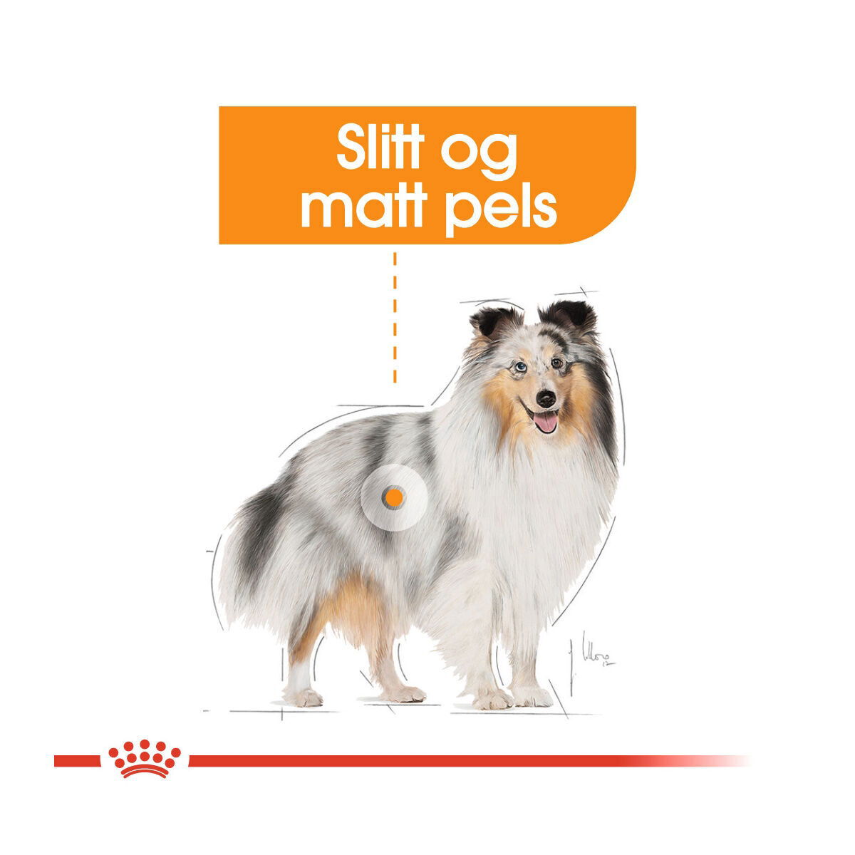 Royal Canin Coat Care Adult våtfôr til hund
