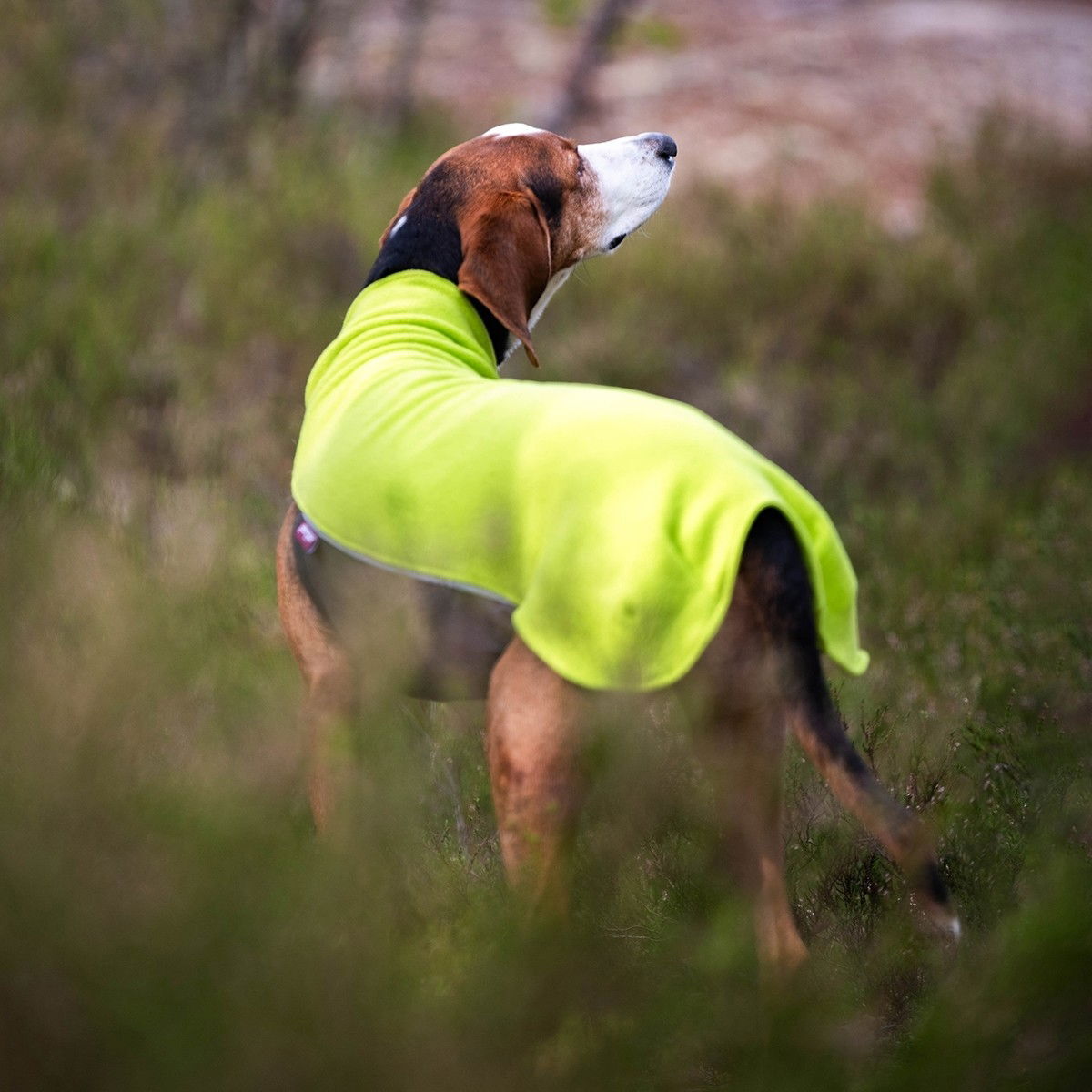 Jumppa Pomppa, Lime