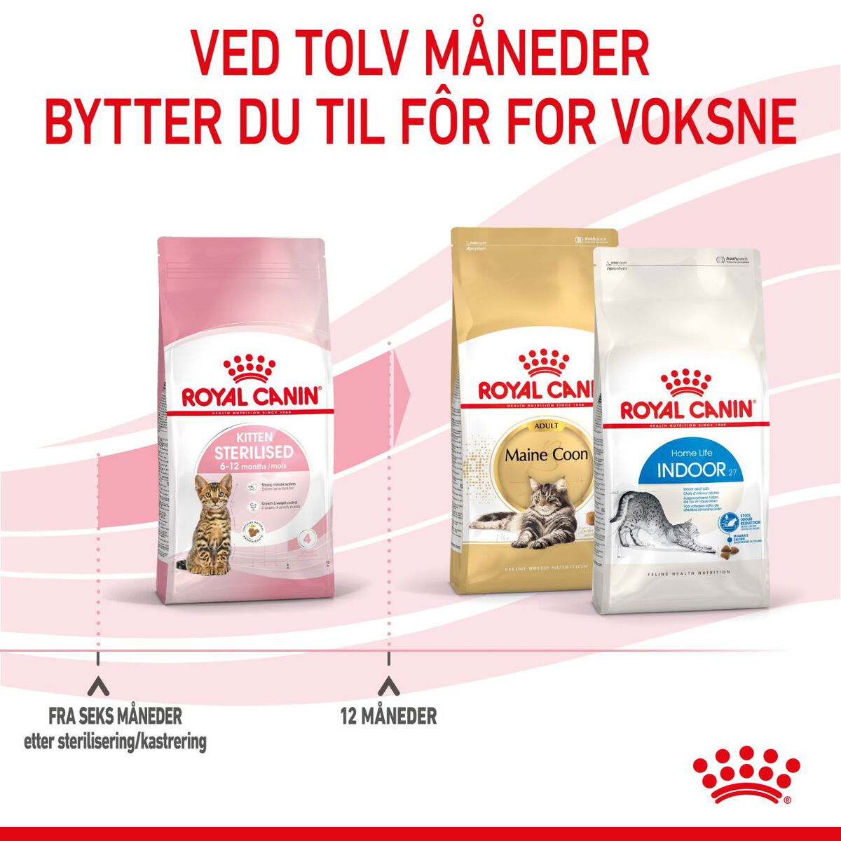 Royal Canin Kitten Sterilised tørrfôr til kattunge