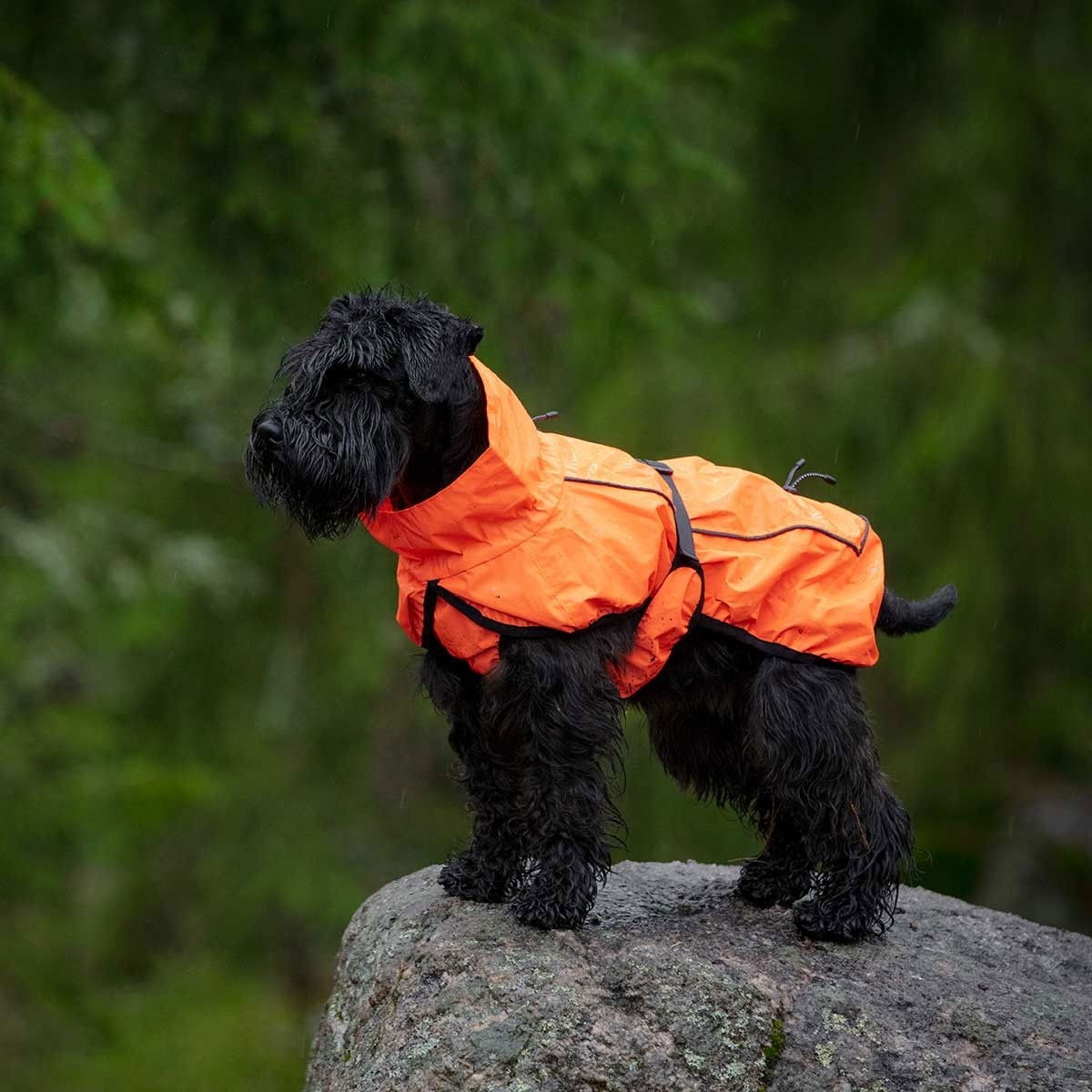 Feel Active Color reflective raincoat orange