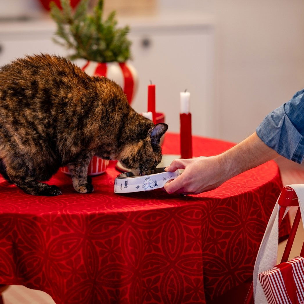 Moomin for Pets Winter cat bowl