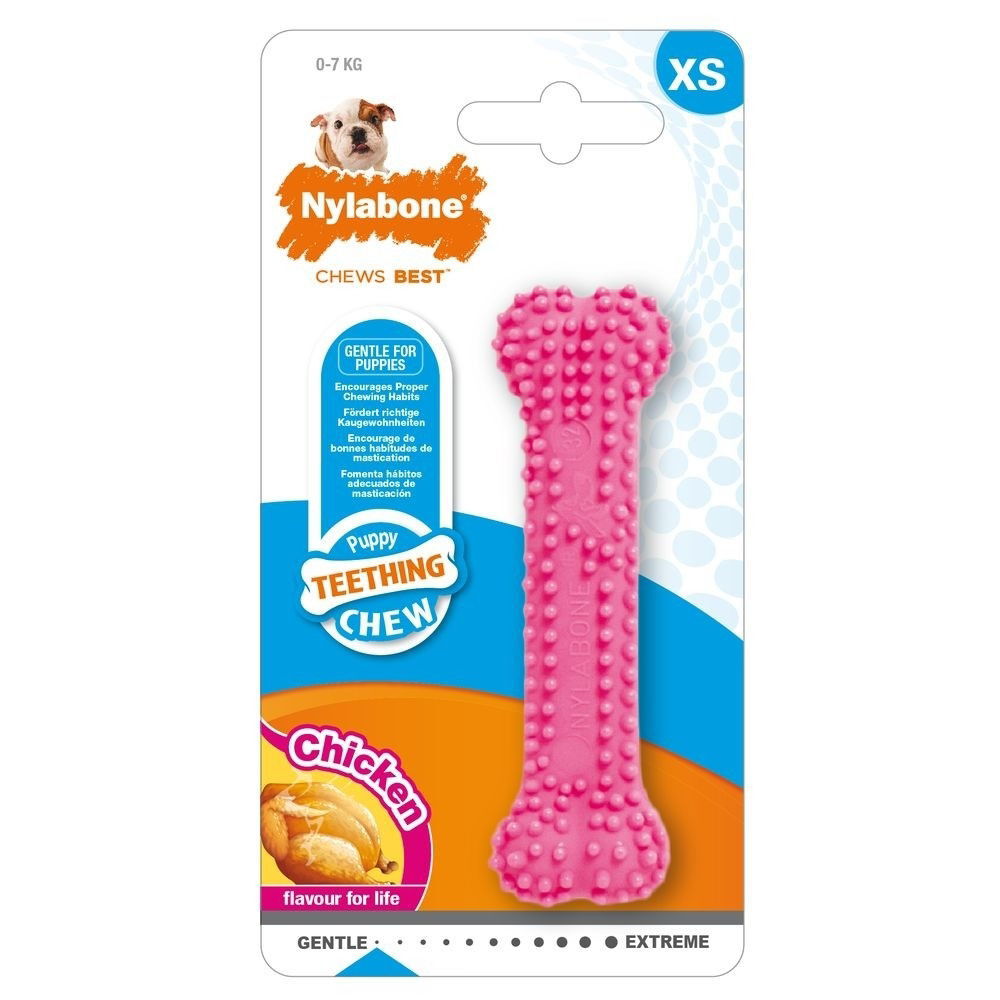 Nylabone Puppy Teething Dental Chew pink