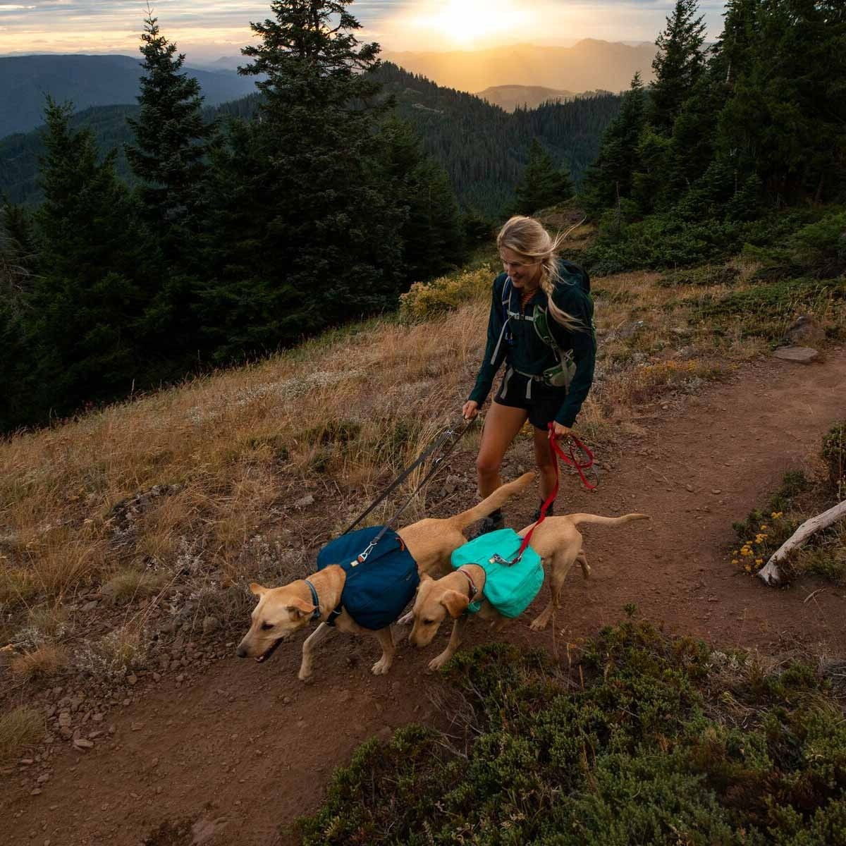 Ruffwear Front Range™ Day Pack Blue Moon 