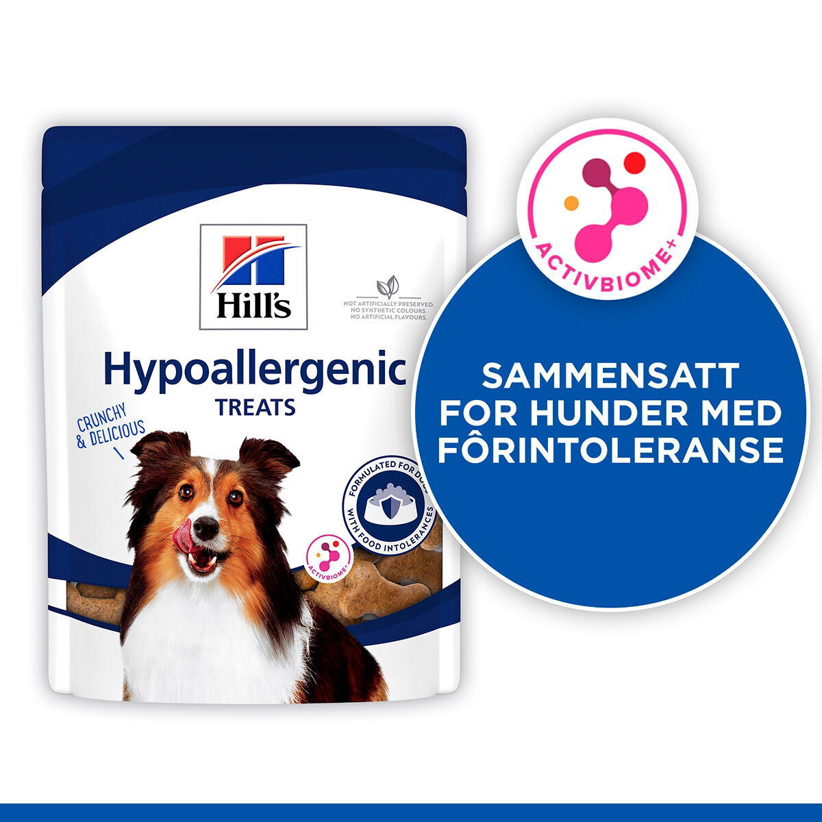 Hill's Hypoallergenic Treats 200g